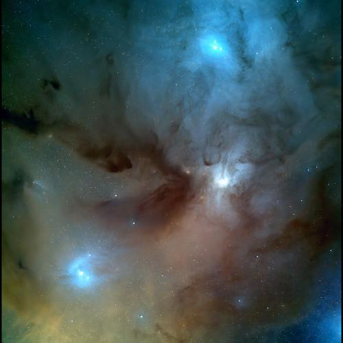 Dr Steve Barrett photo